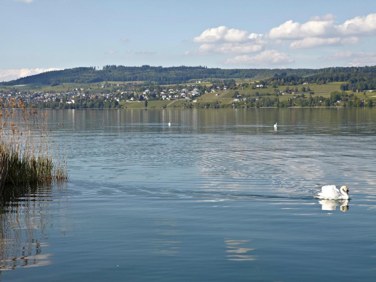 Hotel-restaurant-schifflaende Birrwil